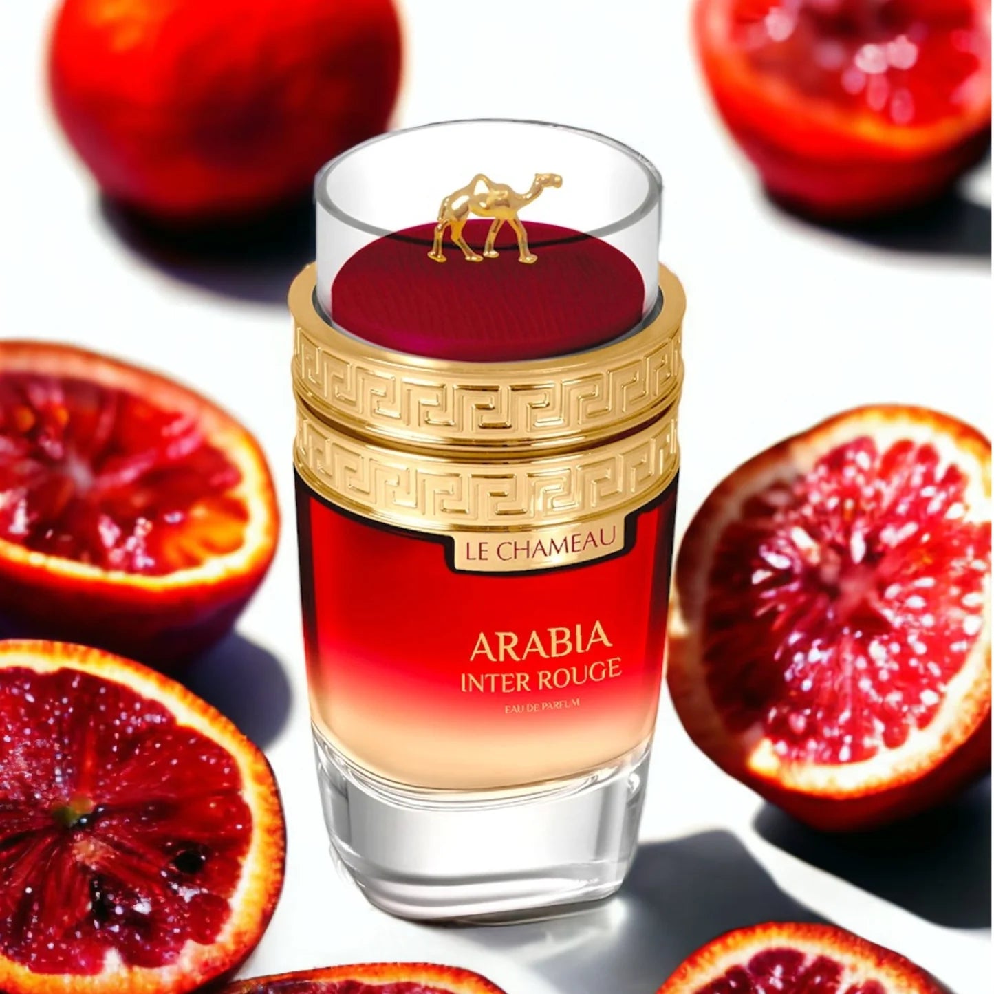Arabia Inter Rouge